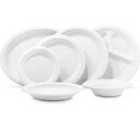 Manufacturers Exporters and Wholesale Suppliers of Disposable Paper Plates Muzaffarnagar Uttar Pradesh